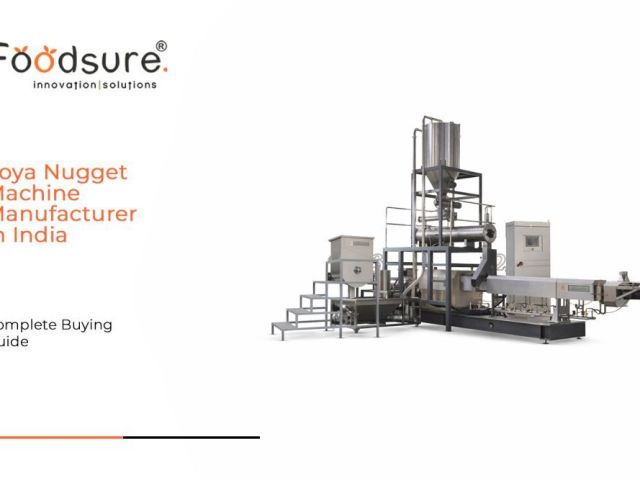 soya-nugget-machine-manufacturer-in-india