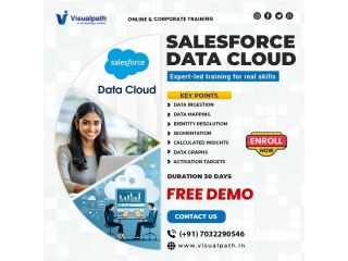 best-salesforce-data-cloud-course-online-training-small-0