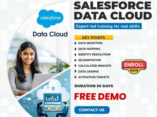 best-salesforce-data-cloud-course-online-training