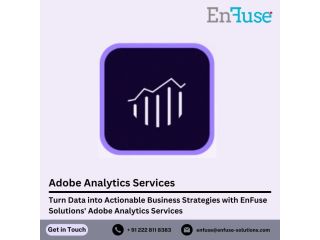 turn-data-into-business-with-adobe-analytics-services-small-0