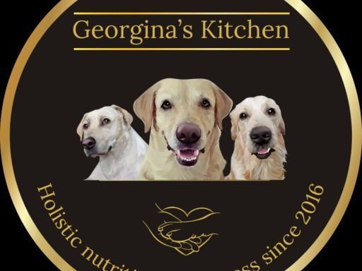 build-a-healthier-future-for-your-dog-with-the-right-diet
