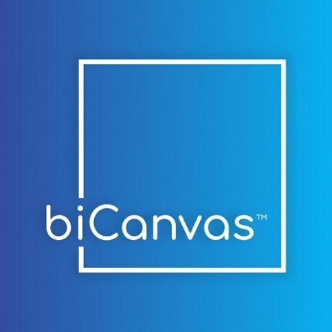 bicanvas-erp-software-big-0