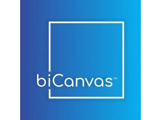 bicanvas-erp-software-small-0