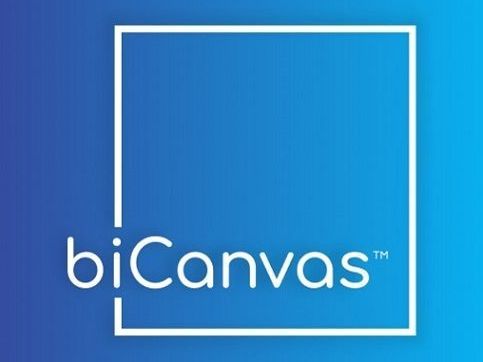 bicanvas-erp-software