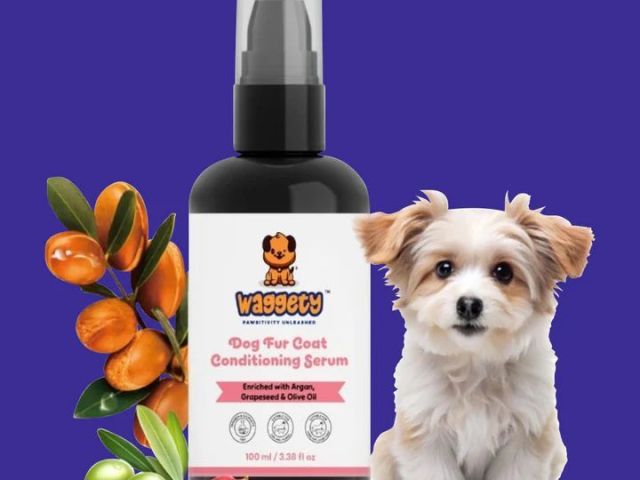 premium-dog-grooming-products-for-healthy-pets-waggety