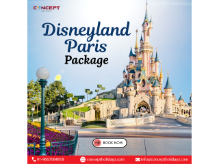 disneyland-paris-package-small-0