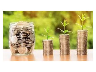 what-is-the-50000-fd-interest-rate-in-india-right-now-small-0