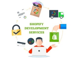 need-expert-shopify-website-development-for-high-conversions-small-0