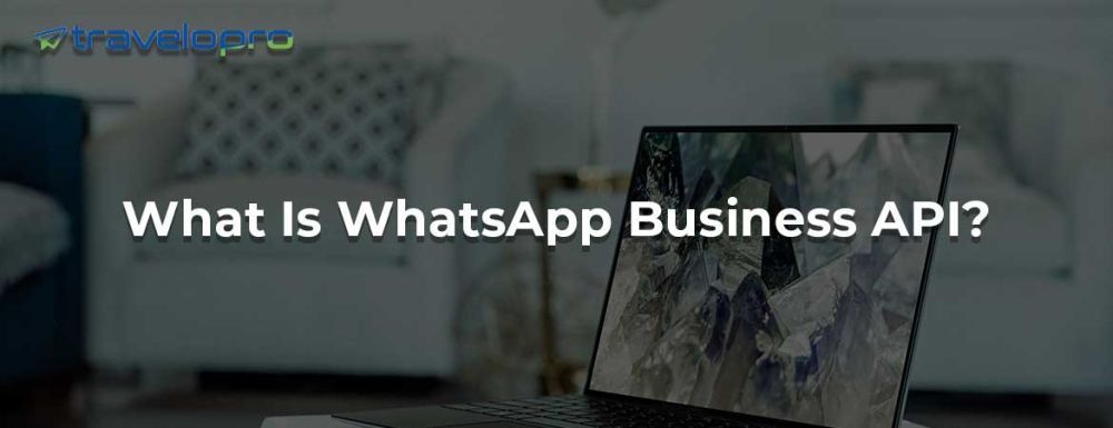 whatsapp-business-api-big-0