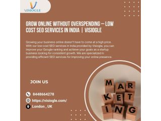 low-cost-seo-services-in-india-visiogle-small-0