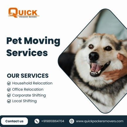 safe-pet-moving-services-by-quick-packers-movers-big-0