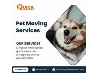safe-pet-moving-services-by-quick-packers-movers-small-0