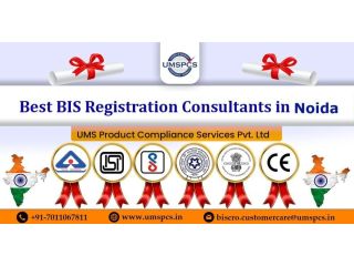 how-to-get-bis-consultant-in-noida-small-0