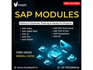 master-sap-modules-with-real-time-training-projects-small-0