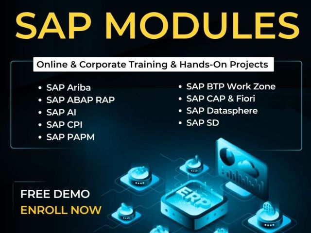 master-sap-modules-with-real-time-training-projects