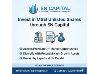 invest-in-msei-unlisted-shares-through-sn-capital-small-0