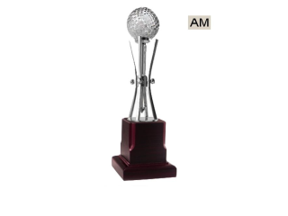 trophy-manufacturer-supplier-delhi-small-0