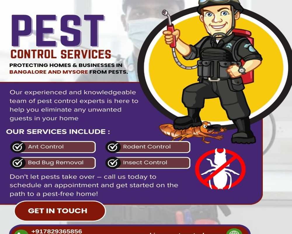 pest-control-services-in-bangalore-safe-effective-solutions