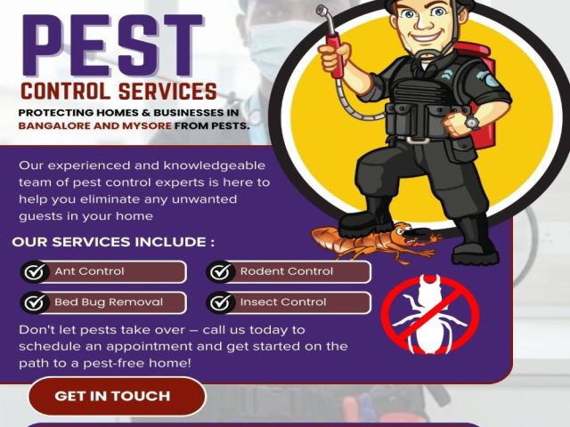 pest-control-services-in-bangalore-safe-effective-solutions