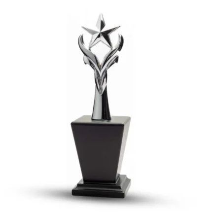 custom-awards-big-0