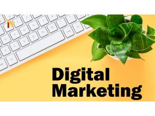 top-solutions-by-thaver-tech-small-0