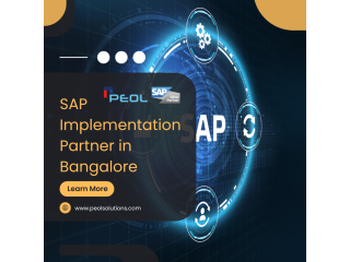 sap-implementation-partner-in-bangalore-small-0