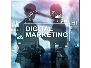 digital-marketing-agency-in-noida-small-0