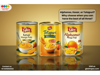 reliable-mango-pulp-exporter-in-india-glee-impex-small-0