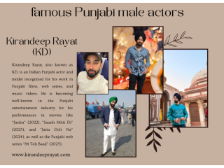 who-are-the-most-well-known-male-punjabi-actors-small-0