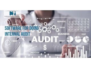 efficient-software-for-doing-internal-audit-small-0