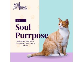 soul-purrpose-small-0