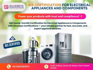 bis-certification-agency-in-noida-silvereye-certifications-small-0