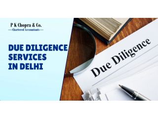 save-time-cost-with-due-diligence-services-in-delhi-small-0