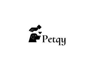 how-can-pets-get-free-care-small-0