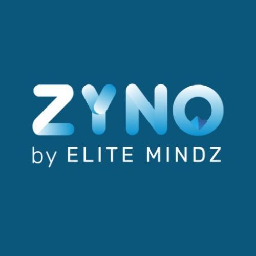 smart-spend-management-made-easy-with-zyno-by-elitemindz-big-0