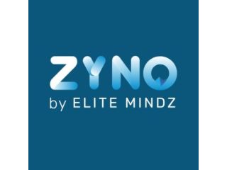 smart-spend-management-made-easy-with-zyno-by-elitemindz-small-0