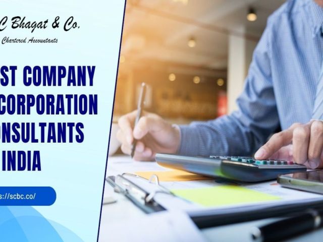 professional-company-incorporation-consultants-in-india
