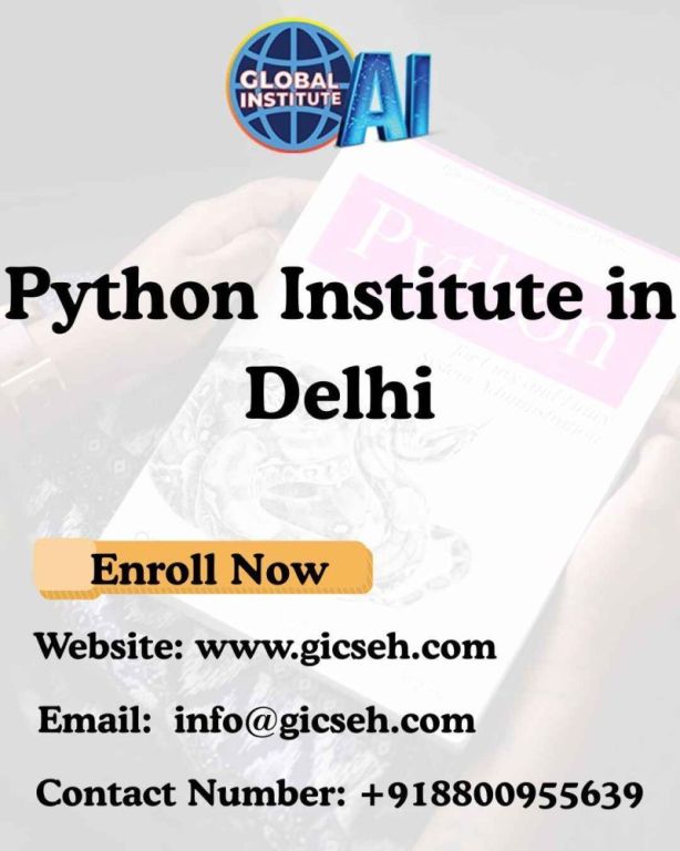 searching-for-the-best-python-institute-in-delhi-big-0