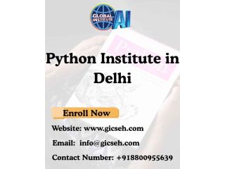 searching-for-the-best-python-institute-in-delhi-small-0