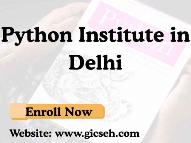 searching-for-the-best-python-institute-in-delhi