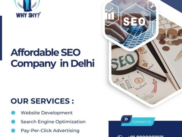 affordable-seo-company-in-delhi-for-better-rankings-why-shy
