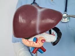 trusted-chronic-liver-specialist-in-ludhiana-dr-nitin-bhel