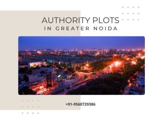 authority-plots-in-greater-noida-gnida-approved-small-0