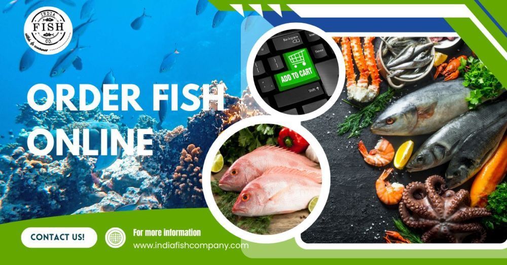premium-fish-delivery-order-fish-online-in-india-big-0