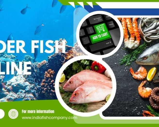 premium-fish-delivery-order-fish-online-in-india