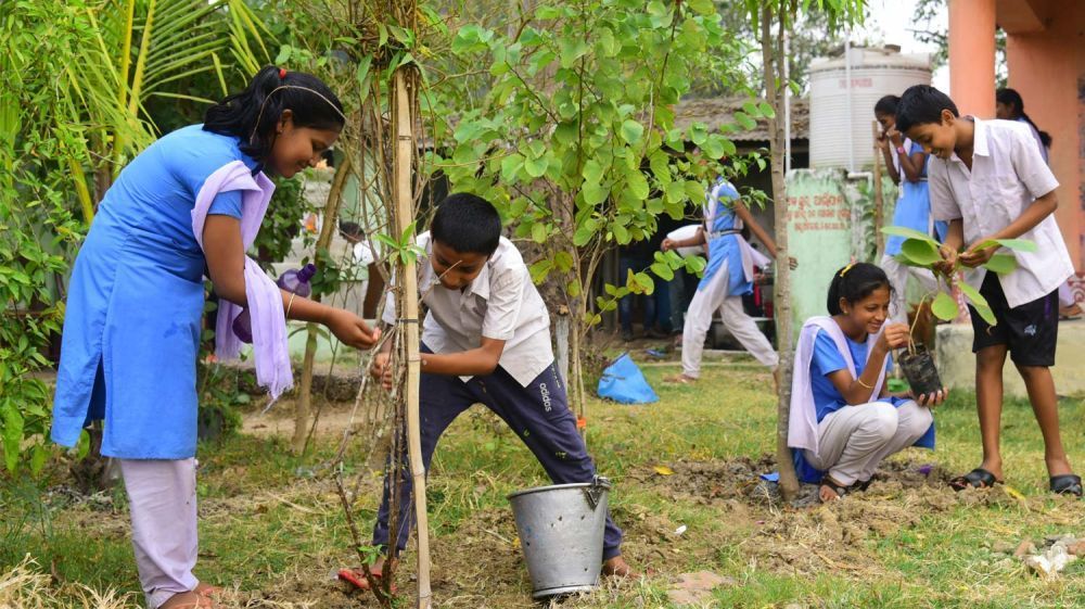 best-ngo-for-climate-change-in-india-wotr-big-0