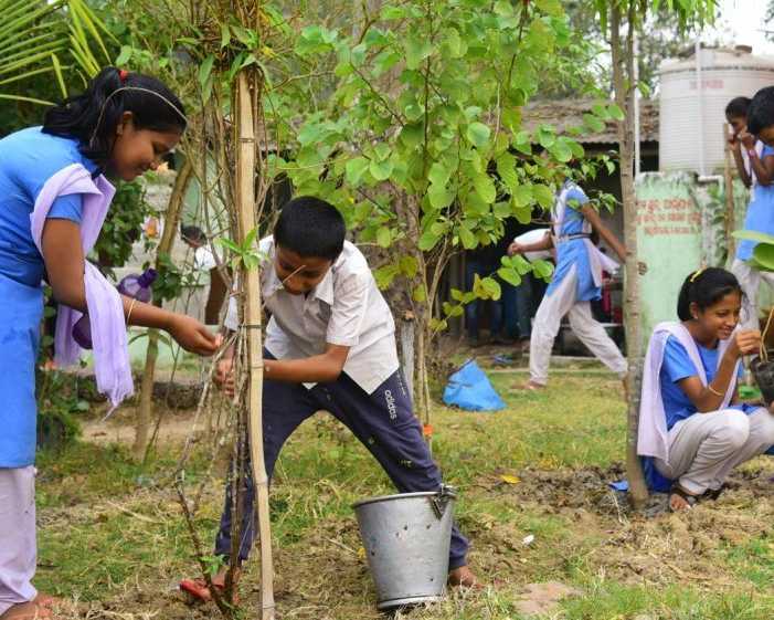 best-ngo-for-climate-change-in-india-wotr