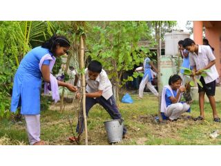 best-ngo-for-climate-change-in-india-wotr-small-0
