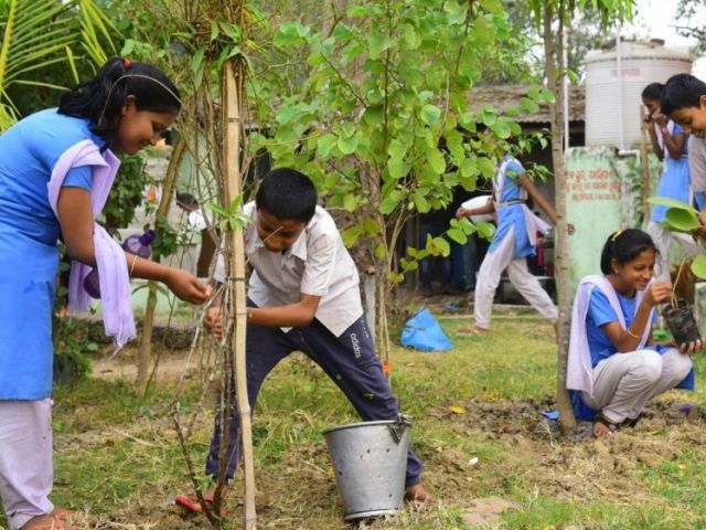 best-ngo-for-climate-change-in-india-wotr