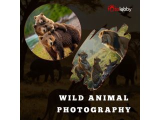 wild-animal-photography-by-fotolobby-small-0